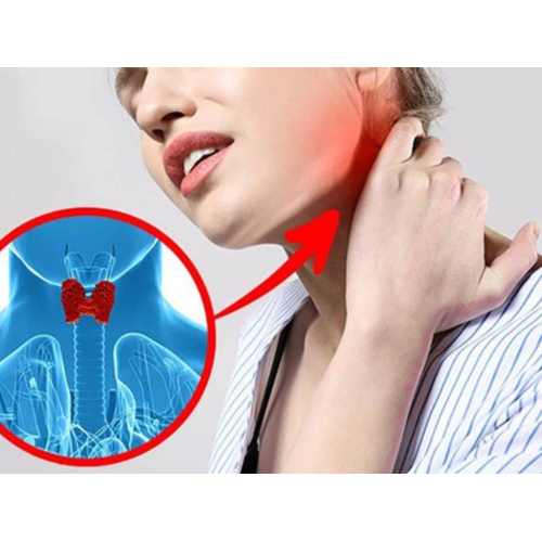 Ăn Rong Biển Nhiều Liệu Có Tốt Không?
